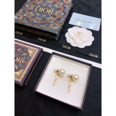 Christian Dior Earrings